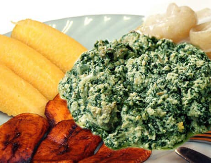 h2-food-item-1